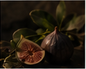 Black Fig