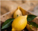 Citrus